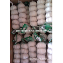 Sell white Garlic(5.0cm,7kg mesh bag)